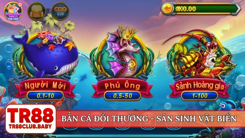 Bắn cá TR88 - Thế giới đại dương săn thưởng trong tay bạn - DRAGON89.LOL