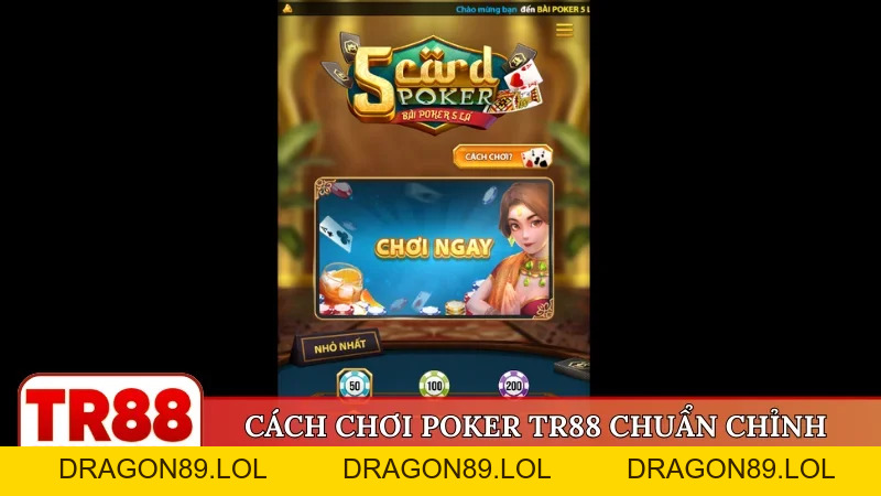 Game bài TR88 - Danh mục giải trí đẳng cấp toàn cầu - DRAGON89.LOL