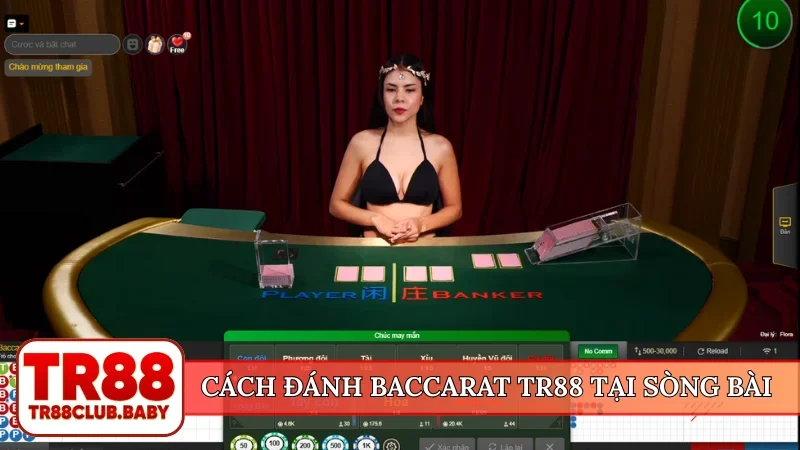 Game bài TR88 - Danh mục giải trí đẳng cấp toàn cầu - DRAGON89.LOL