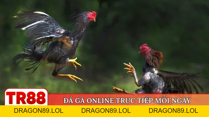TR88 🎖️ Trang Chủ Đăng Nhập TR88.Com Chính Thức 09/2026 | Đăng Ký +88K - DRAGON89.LOL