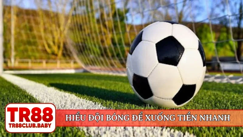 Tỷ lệ bóng đá châu Âu - Khám phá điều kiện thắng tại TR88 - DRAGON89.LOL