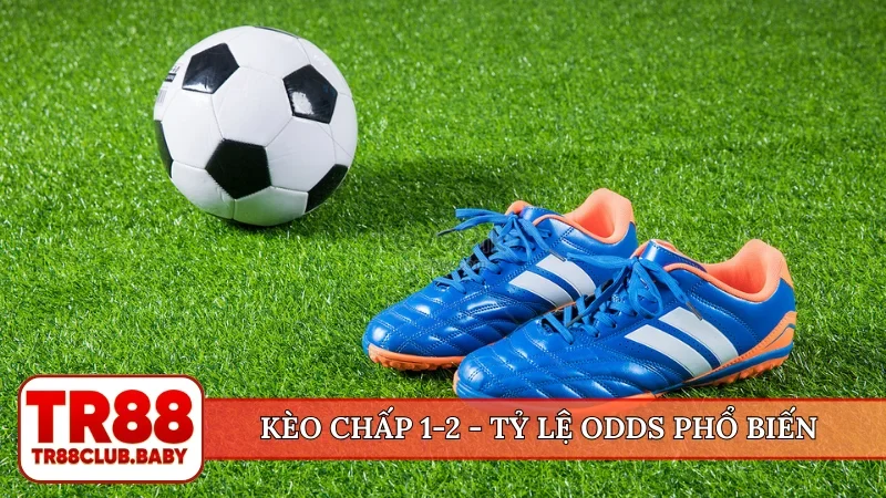 Kèo phạt góc - Bí kíp đặt cược cửa phụ thông minh tại TR88 - DRAGON89.LOL