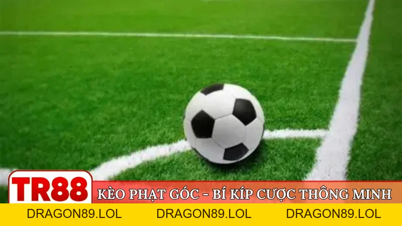 TR88 🎖️ Trang Chủ Đăng Nhập TR88.Com Chính Thức 09/2026 | Đăng Ký +88K - DRAGON89.LOL