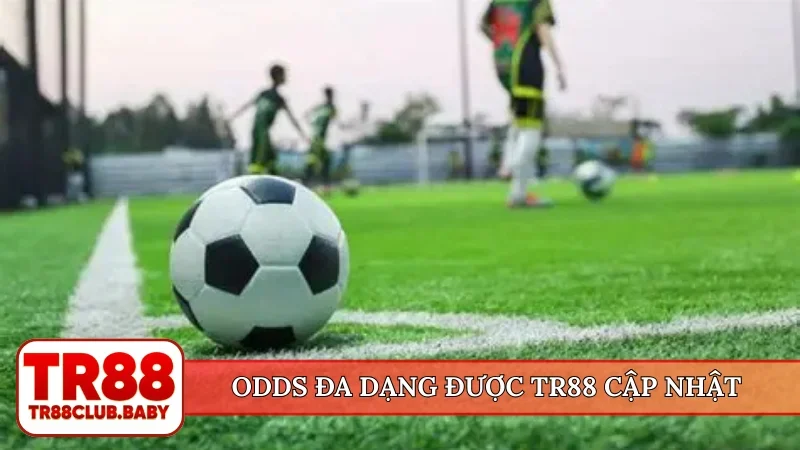Kèo châu Âu - Phương pháp đặt cược đơn giản cho bet thủ TR88 - DRAGON89.LOL