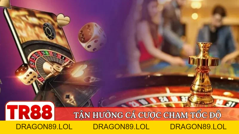 Tải app TR88 - Giải pháp cá cược tiện lợi cho người chơi - DRAGON89.LOL