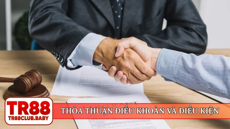 Điều khoản và điều kiện TR88 - Quy tắc bảo vệ quyền lợi - DRAGON89.LOL